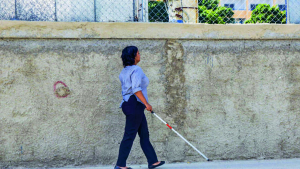 Educación para estudiantes con discapacidad puede costar hasta 35 veces más que la regular