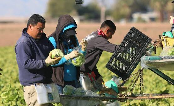 ‘Si no fuéramos pobres, ¿por qué querríamos trabajar en el extranjero?’
